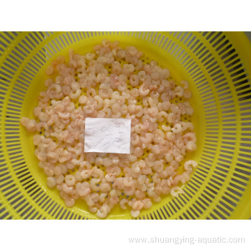 Frozen Red Shrimps Size 200300